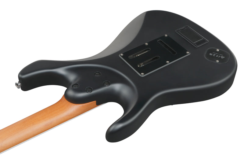 Ibanez BERNTH SIGNATURE Electric Guitar (Black)
