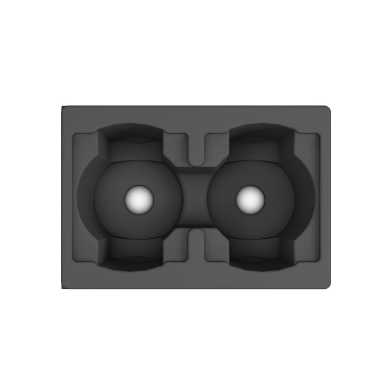 Cameo Pro CLEW3INSERT Foam Insert for 2 X EVOS W3