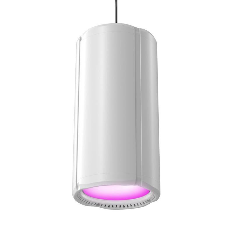 Theatrixx CLH1FCWH Lampe de maison LED polychrome avec contrôle DMX (Blanc)
