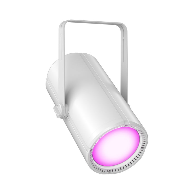 Theatrixx CLH1FCWH Lampe de maison LED polychrome avec contrôle DMX (Blanc)