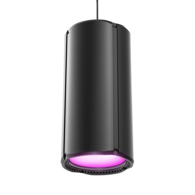 Theatrixx CLH1FC Lampe de maison LED polychrome avec contrôle DMX (Noir)