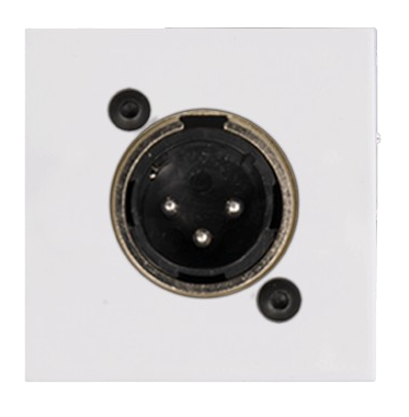 Audac CP43XLM/W Connection Plate D-Size XLR Male Bticino (White)
