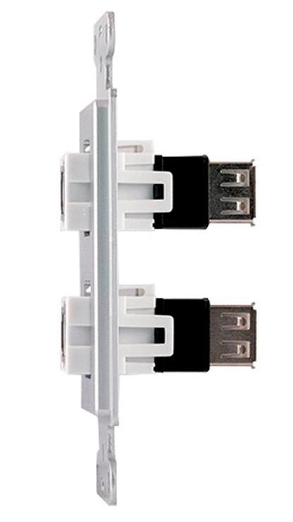 Covid D1232F-CA Keystone USB-2-BA Wall Plate (Clear Anodized)