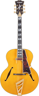 D'Angelico EXCEL STYLE B Hollow Body Electric Guitar (Amber)
