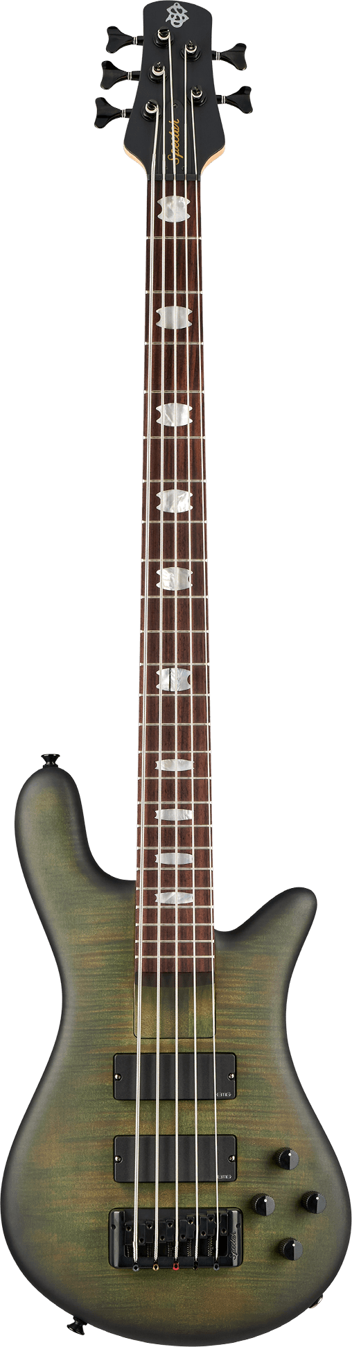 Spector EURO 5 LX Bolt-On 5 Strings Electric Bass Guitar (Haunted Moss)