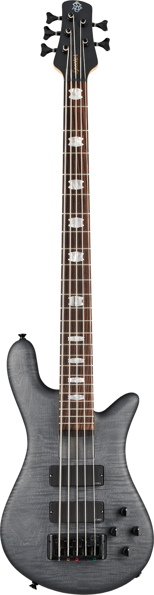 Spector EURO 5 LX Bolt-On 5 Strings Electric Bass Guitar (Transparent Black)