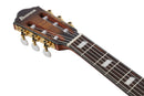 Ibanez FRH20SMNTCL Electric Guitar (Tobacco Burst)
