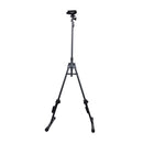 Gator GFW-BNO-CELLO Adjustable Stand for Cello