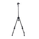 Gator GFW-BNO-CELLO Adjustable Stand for Cello