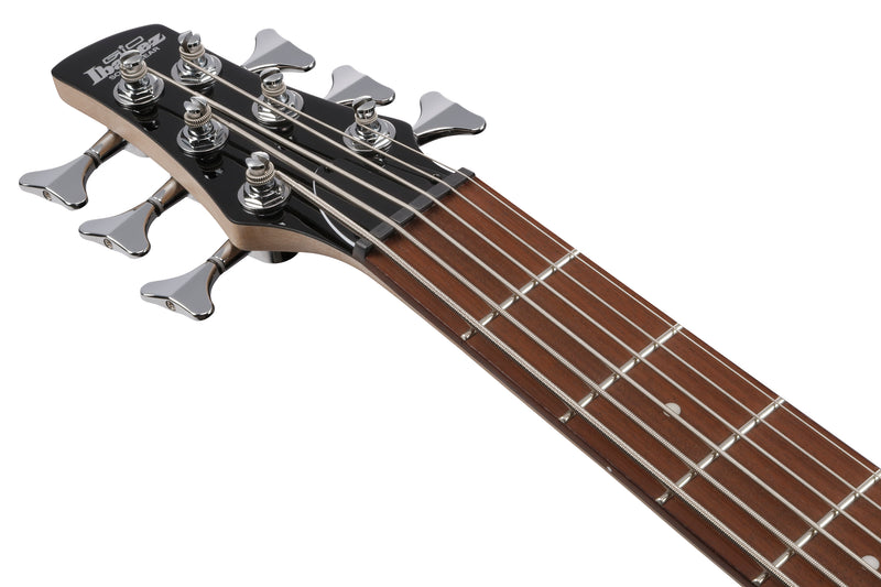 Ibanez GSR206TGF Gio SR 6 Strings Electric Bass Guitar (Transparent Gray Flat)