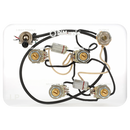 DiMarzio GW2103 Les Paul® Push/Pull Wiring Harness