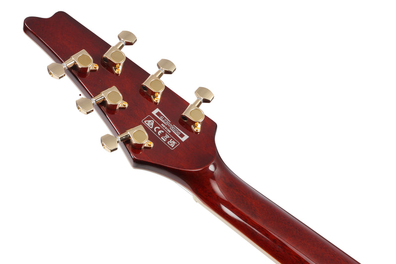 Ibanez IC420FMVLS Iceman Guitare électrique (Violon Sunburst)