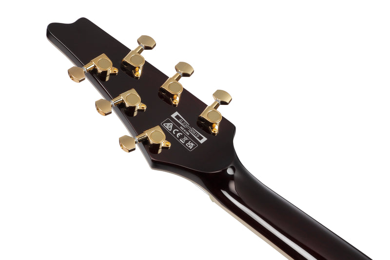 Ibanez IC420AAB Iceman Series Electric Guitar (Antique Autumn Burst)