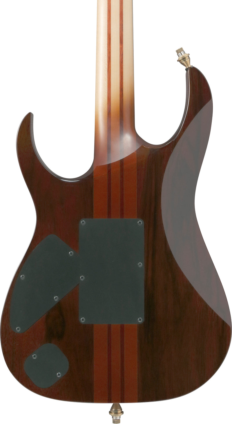 Ibanez IV1RG RG Visions Electric Guitar