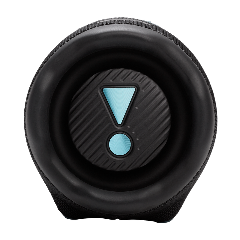 JBL CHARGE 6 Portable Waterproof And Drop-Proof Speaker (Funky Black)