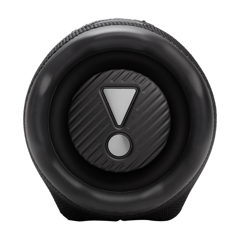 JBL CHARGE 6 Portable Waterproof And Drop-Proof Speaker (Black)