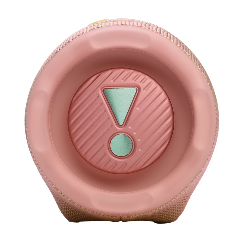 JBL CHARGE 6 Portable Waterproof And Drop-Proof Speaker (Pink)