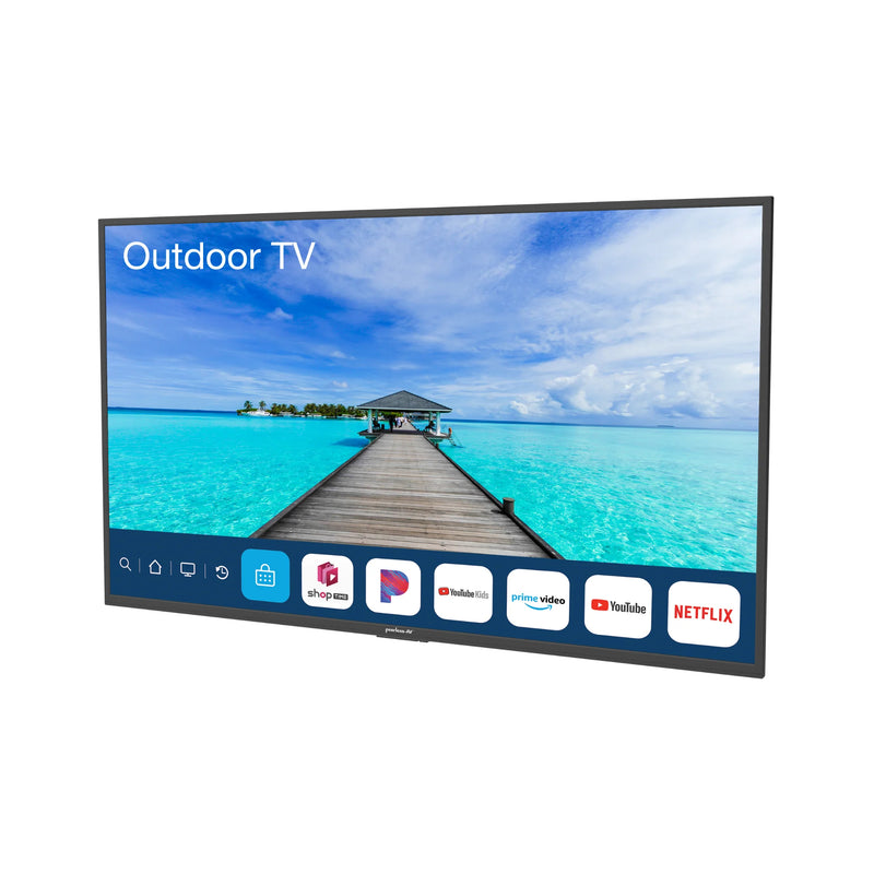 Téléviseurs intelligents extérieurs Neptune à soleil partiel NT553 Peerless-AV - 55 po