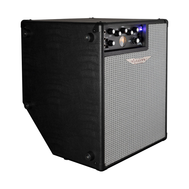 Ashdown ORIGINAL EVO C112 300 Watt Bass Combo Amplifier
