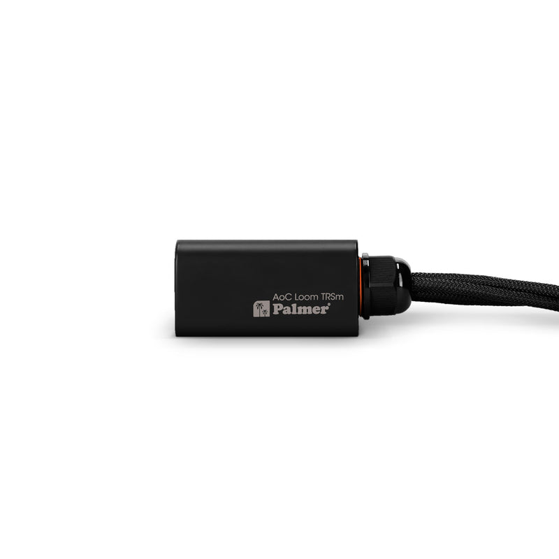 Palmer AOC LOOM TRSM Audio Over Cat Loom From EtherCON To 4 x 6.3mm TRS Jack