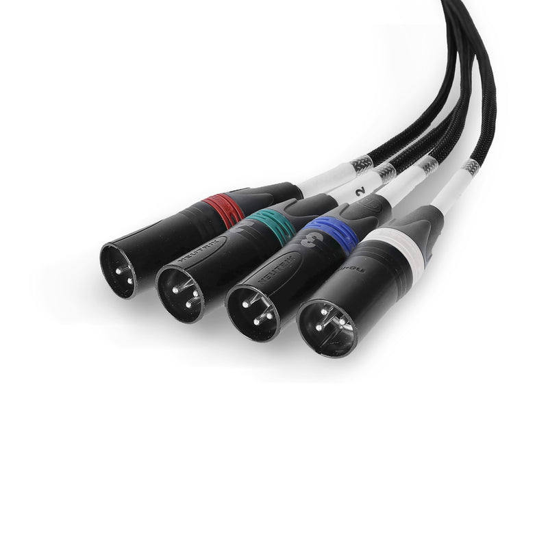 Palmer AOC LOOM XLRM Audio Over Cat Loom From EtherCON To 4 x XLR Male