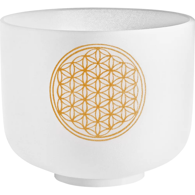 Meinl PCSB8FOL SONIC Energy Planetary Crystal Singing Bowl - 8 "(Fleur de la vie)