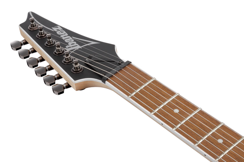 Ibanez RG421SSEM RG Standard Electric Guitar (Sea Shore Matte)