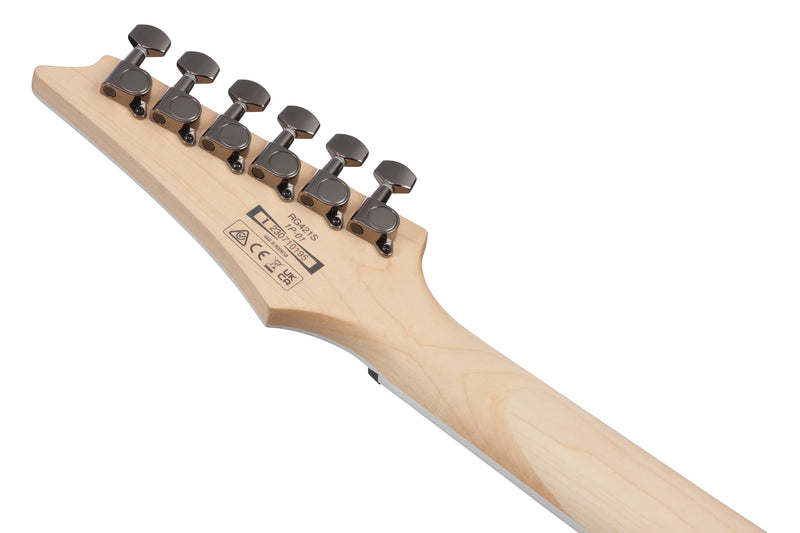 Ibanez RG421SSEM RG Standard Electric Guitar (Sea Shore Matte)