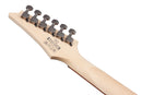 Ibanez RG421MOL RG Standard Electric Guitar (Mahogany Oil)