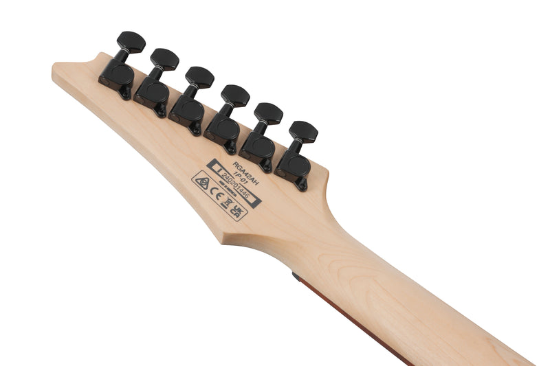 Ibanez RGA42AHBKS RGA Standard Electric Guitar (Black Stained)