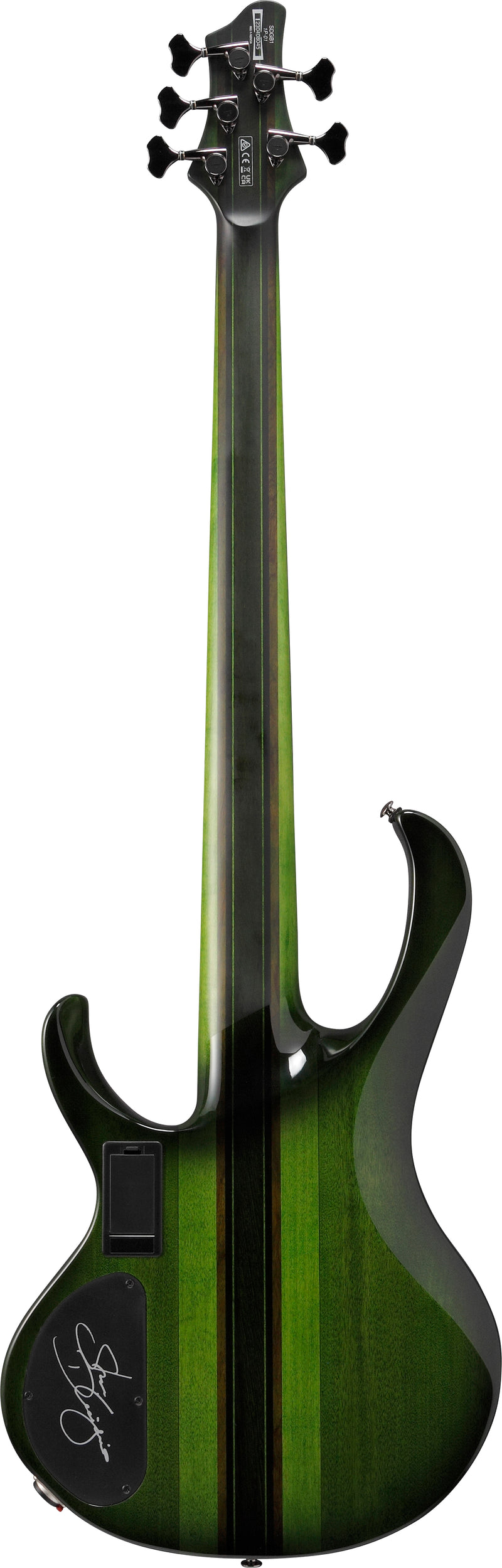 Ibanez SDGB1DMT Steve Di Giorgio Signature 5-String Fretless Electric Bass (Dark Moss Burst)