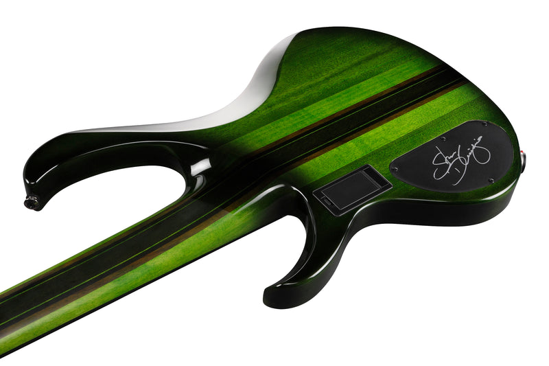 Ibanez SDGB1DMT Steve Di Giorgio Signature 5-String Fretless Electric Bass (Dark Moss Burst)
