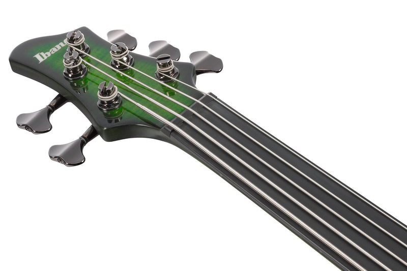 Ibanez SDGB1DMT Steve Di Giorgio Signature 5-String Fretless Electric Bass (Dark Moss Burst)