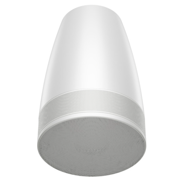 Bose DML88P 70/100V All-In-One Pendant Loudspeaker (White)
