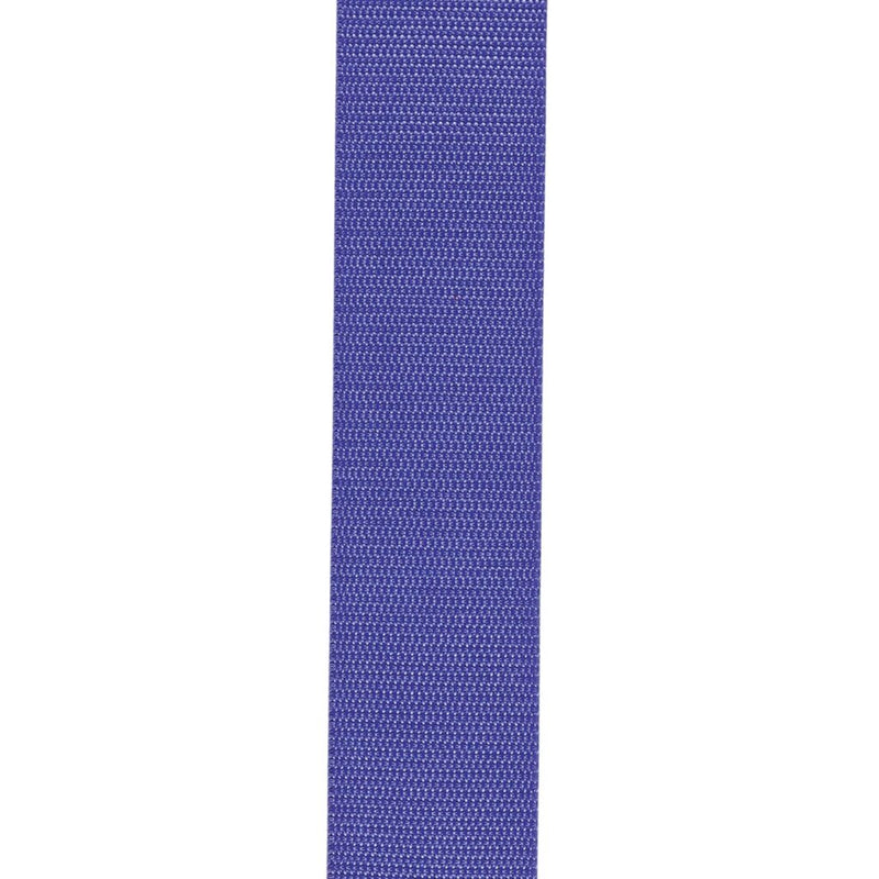 D'Addario PWSAL403 Polypropylene Auto Lock Guitar Strap (Purple)