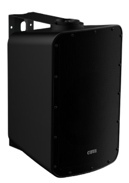 Cloud Electronics CS-S10TB 2 Way 100V Surface Mount Speaker (Black) - 10"