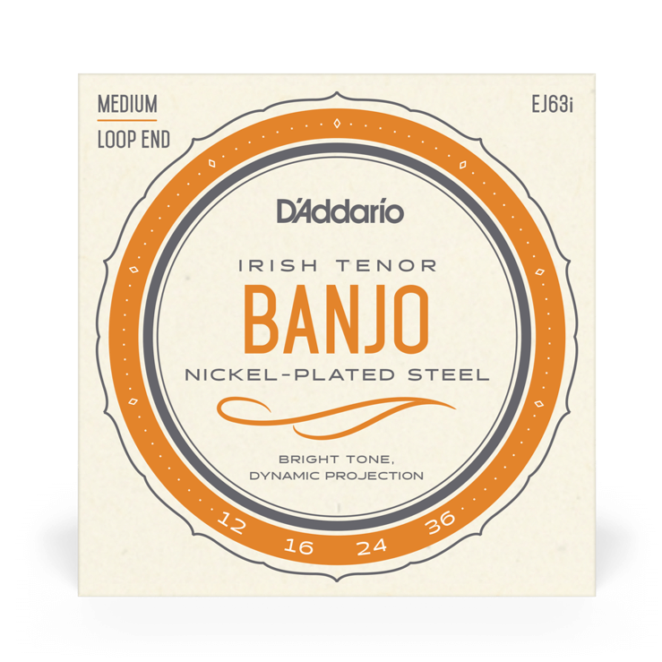 D'Addario EJ63I Irish Tenor Banjo String Set, Nickel, 12-36