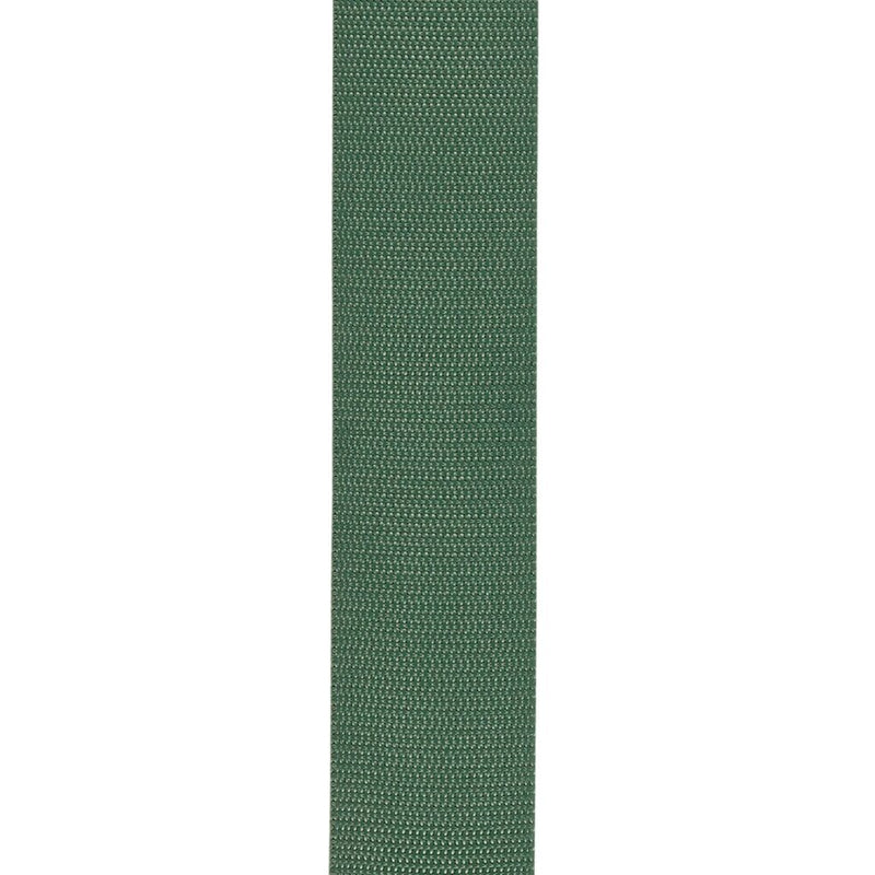 D'Addario PWSAL407 Polypropylene Auto Lock Guitar Strap (Green)
