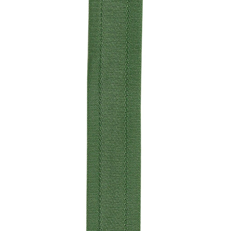 D'Addario 50BAL20 Nylon Auto Lock Guitar Strap (Verdant)