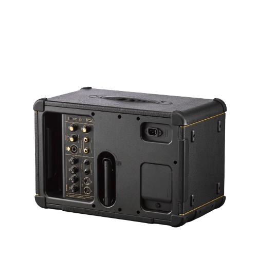 Positive Grid SPARK LIVE 4-Channel Smart Amp & PA System