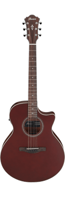 Guitare acoustique Ibanez AE100 (appartement bordeaux)