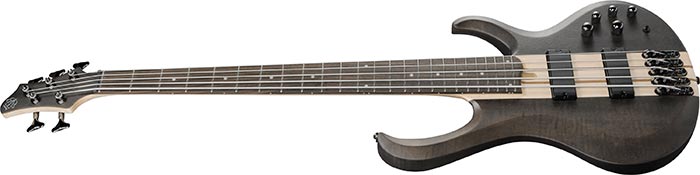 Ibanez BTB605TGF 5 String Electric Bass Guitars (Transparent Gray Flat)