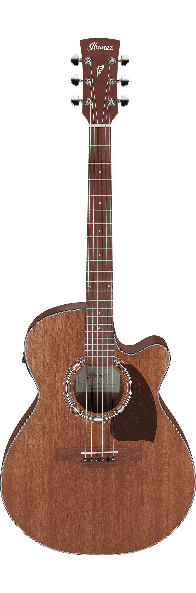 Ibanez PC54CE Acoustic Guitar (Open Pore Natural)
