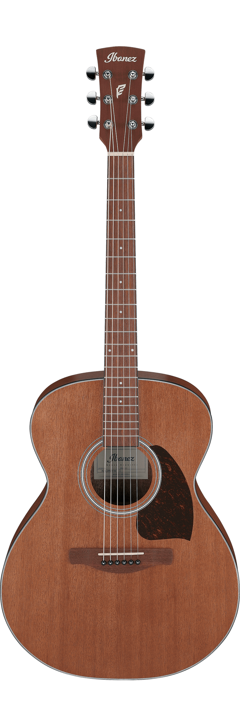 Guitare acoustique Ibanez PC54 (Open Pore Natural)