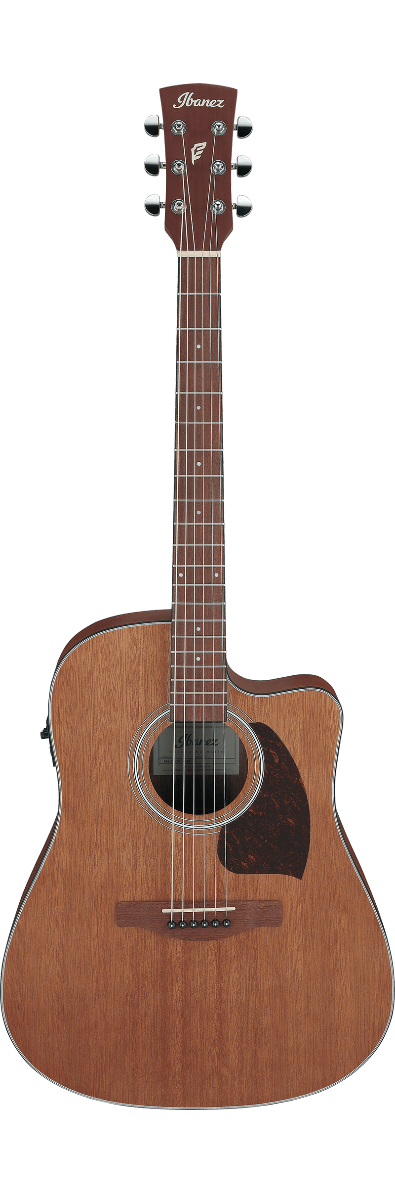 Ibanez PF54CE Guitare acoustique (Open Pore Natural)