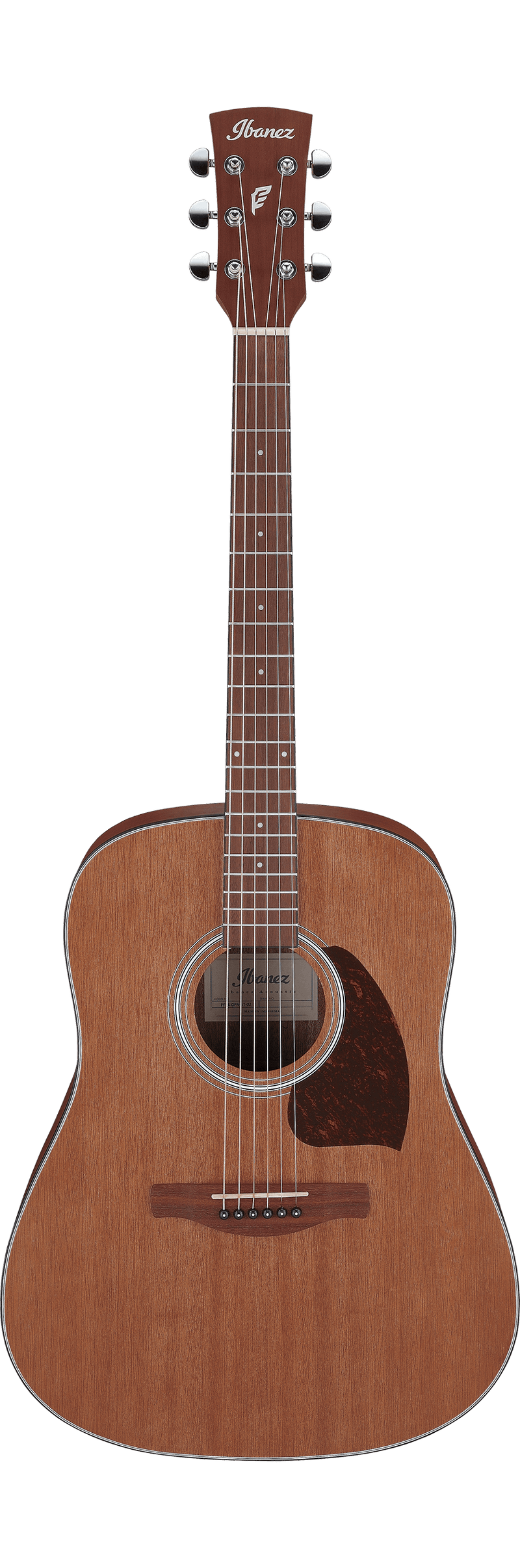 Ibanez PF54 Guitare acoustique (Open Pore Natural)