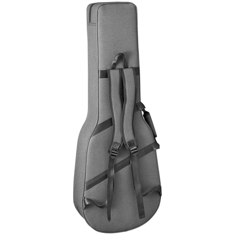 Takamine NEX CALSSICAL ELECTRIC GUITATE SEMI HARD HARD