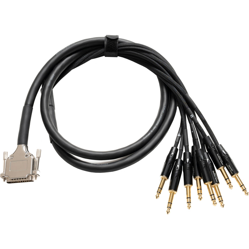 Warm Audio PREMIER DB25 to 1/4" TRS Male 8-Channel Analog Breakout Cable - 6'