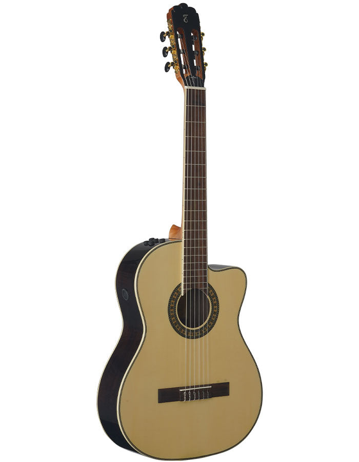 Tagima WS-12 EQ Acoustic Electric Guitar (Natural)