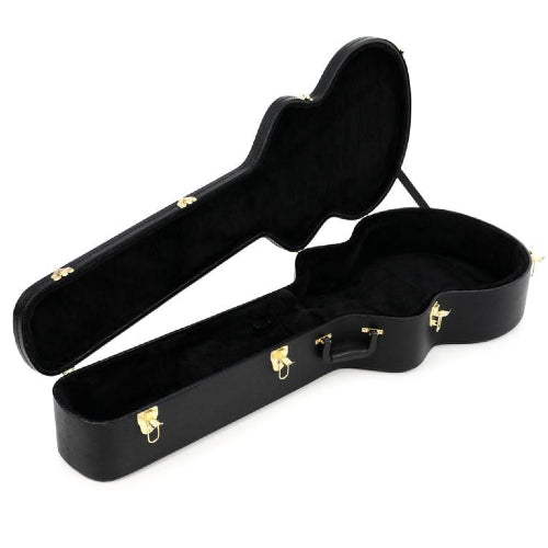 Ibanez AEG10C Hardshell Acoustic Guitar Case
